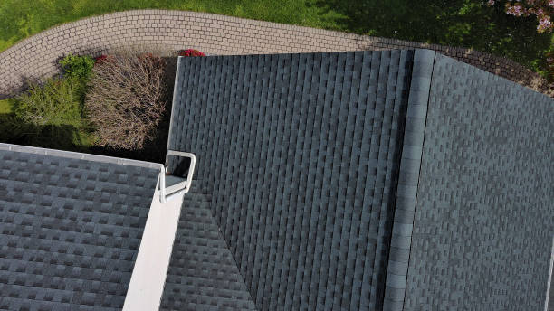 Best Solar Panel Roofing Installation  in Darlington, WI